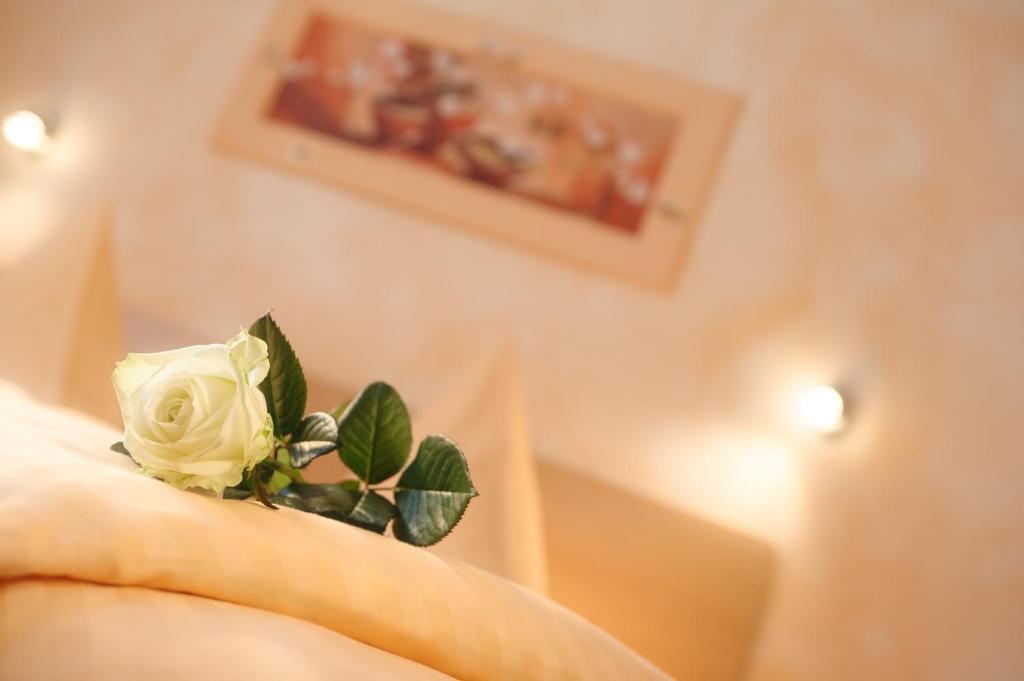 Hotel Mediterraneo Neustadt an der Weinstraße Rom bilde